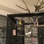 Zwei Chaoten bekommen ein neues Zuhause