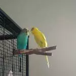 Smalltalk 