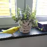 Wie lecker!