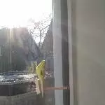 Sonnige Grüße
