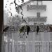Der erste Schnee