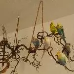 Das ist unsere Rasselbande