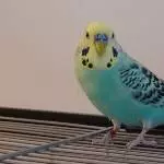 Ist das meine Schokoladenseite?