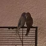 Nelli und Marvin 