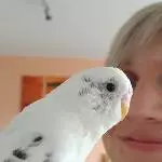 Kleiner Schatz Sunny 