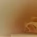 Album von Zeonteck