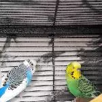 Cookie und Ervin
