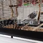 Felicitas erster Freiflug