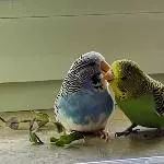 Felicitas und Tim