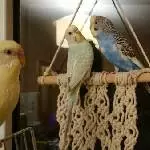 Sternchen, Blitzi und Tina