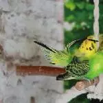 Erstmal eine durchziehen