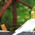 Hallo, ich bin`s, die Marcy
