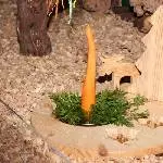 Weihnachtsgrüße aus dem Welli- Land