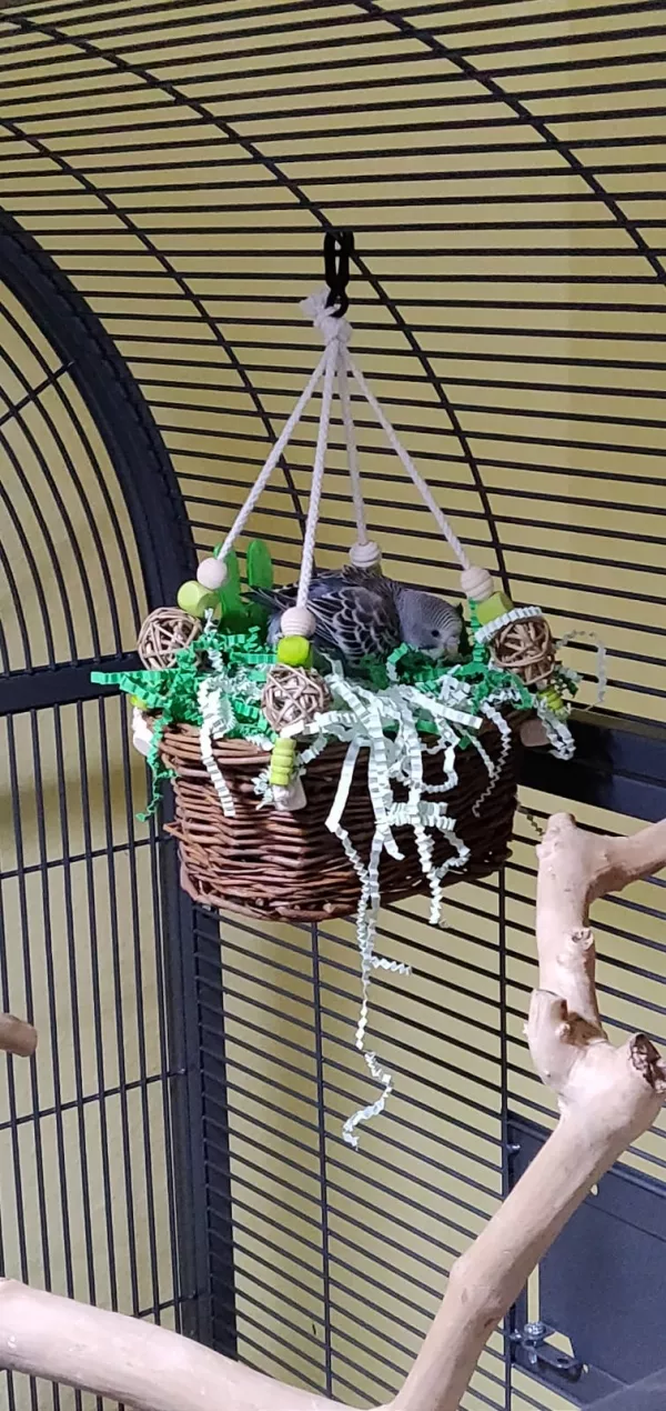Wellensittich-Bild: Der Osterhase war da und hat Rocky ein tolles Osterschredderkörbchen mitgebracht. Mittlerweile wühlen Blue und Rocky gleichermaßen in dem Körbchen und sortieren das bunte Papier. 