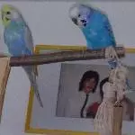 Ali und Zwergle