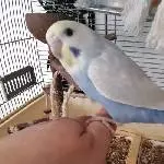 Meine hübsche Reha