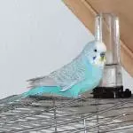 Mein hübscher Nico