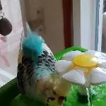 Heute wird gründlich gebadet