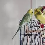 Freunde quatschen gerne