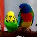 Pinsel