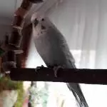 Ludwig auf seinem Aussichtspaltz