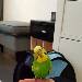 Joeys erster Tag