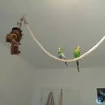 Fio & Piet