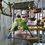 Unser süßes Pärchen