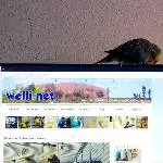 Den Vogel da im Foto kenne ich doch?