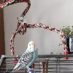 Meine kleine Sky