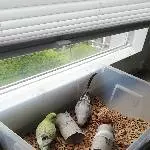 So eine Wühlkiste macht Spaß 