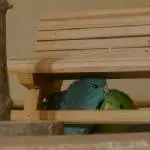 Wir haben uns versteckt !!
