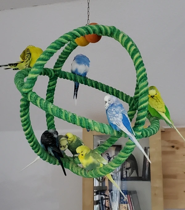 Schaukeln, Chillen und ganz viel Liebe