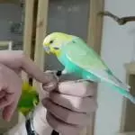 Das Schönste Ich hab Dich gern ! der Welt