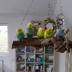 Gruppenfoto Bomber Galahad