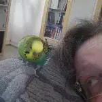 Schläfst Du schon, Frauchen?