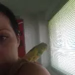 Die kleine Peanut