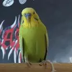 Schon wieder ein Foto von mir?! 