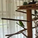 Maxi mit der neuen Truppe