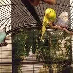 Timmy und Tobi
