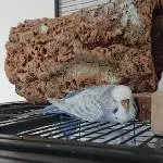 Zeit für eine kleine Siesta