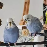 Zeit für ein Gruppenfoto 