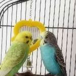 Das ist Bromance