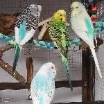 Das erste Gruppenfoto