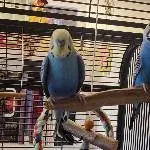 Maxi und Hanni
