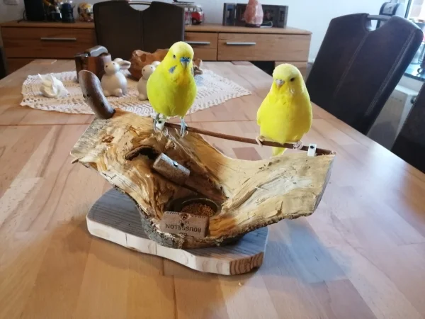 Wellensittich-Bild: Fiete und Toni auf dem selbstgemachten FutterKletterplatz