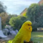 Lieblingsplatz mit Aussicht
