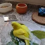 Toni beim baden