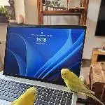 Unterstützung im HomeOffice
