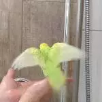 Fiete beim Duschen